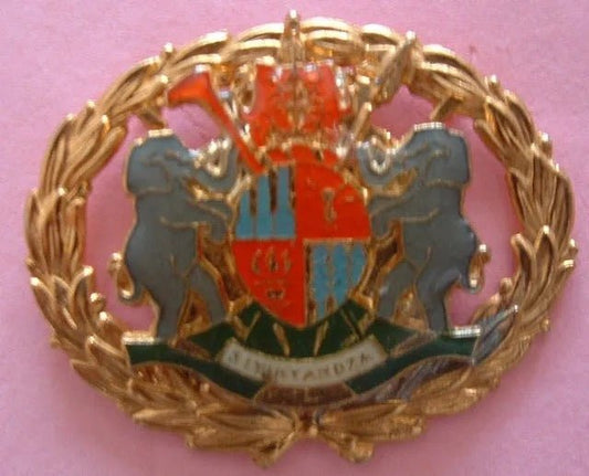 Kangwane Police Warrant Officer Class 1 Mess Dress Rank - Bateleur Militaria