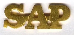 South Africa (SAP) Shoulder Title - 1990's - Bateleur Militaria