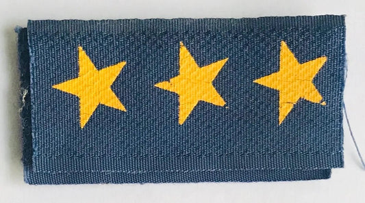 South Africa (SADF) Air Force Captain Rank Hook and Pile - Bateleur Militaria