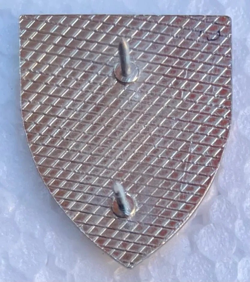 South Africa (SADF) 1 Reconnaissance Regiment Pocket FOB Badge - Bateleur Militaria
