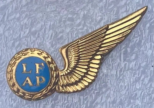 South Africa (SAAF) Air Photographer Wings MMD Gilt & Enamel - Bateleur Militaria