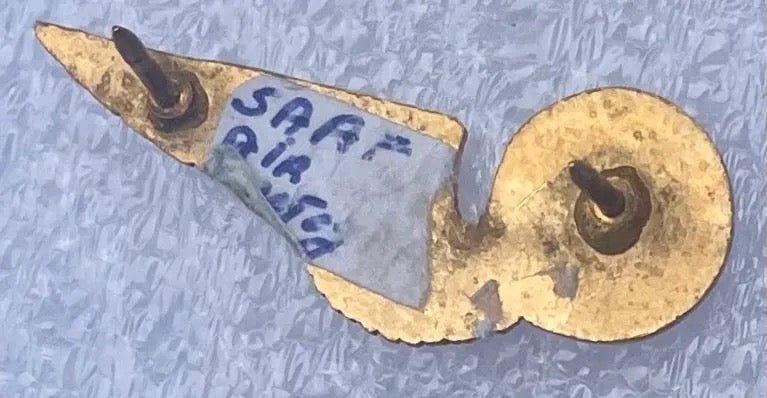 South Africa (SAAF) Air Photographer Wings MMD Gilt & Enamel - Bateleur Militaria