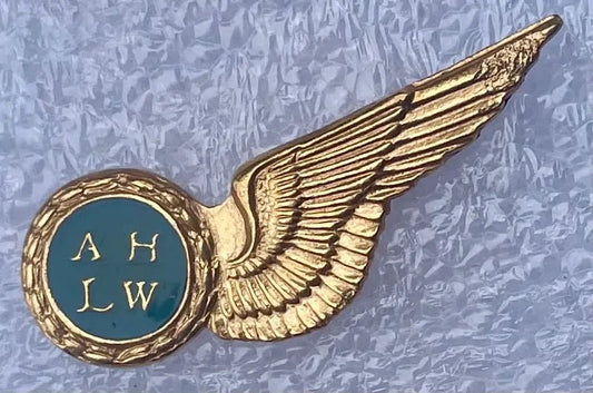 South Africa (SAAF) Air Hostess Wings MMD Gilt & Enamel - Bateleur Militaria