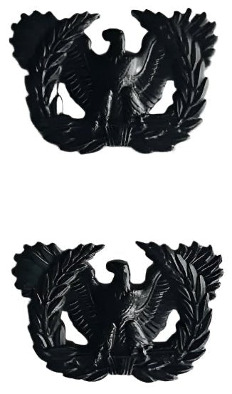 US Warrant Officer Rank Subdued Pair Vietnam Era 1969 - Bateleur Militaria
