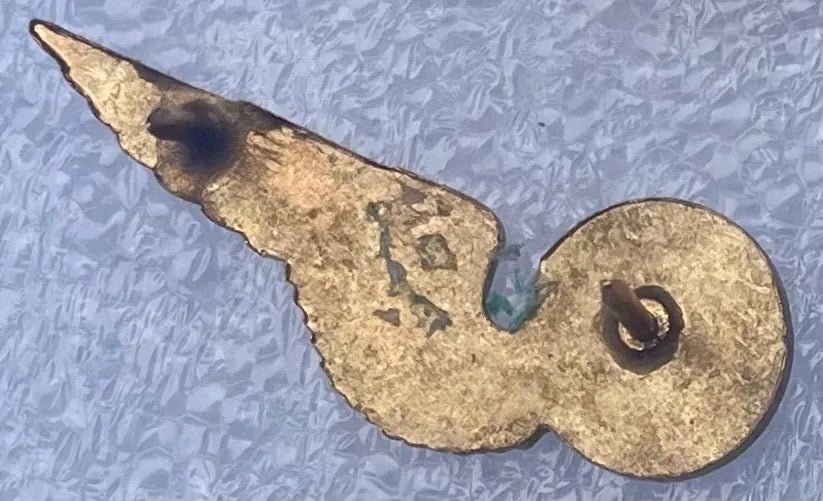 South Africa (SAAF) Radio Operator Wings MMD Gilt & Enamel - Bateleur Militaria
