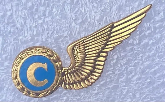South Africa (SAAF) Flight Chef Wings MMD Gilt & Enamel - Bateleur Militaria