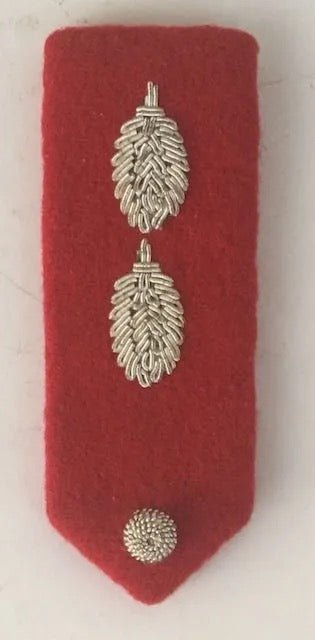 South West Africa (SWATF) Gorget Colonel and Brigadier - Bateleur Militaria