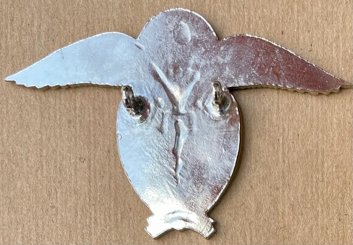South Africa EAMA Aeromedic Advance Parachute Wing - Bateleur Militaria