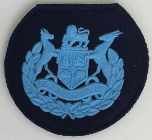 South Africa (SADF) Air Force Warrant Officer 1st Class Rank - Bateleur Militaria