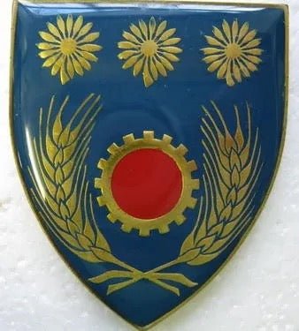 South Africa (SADF) Northern Transvaal Command Maintenance Unit Flash Arm Badge - Bateleur Militaria