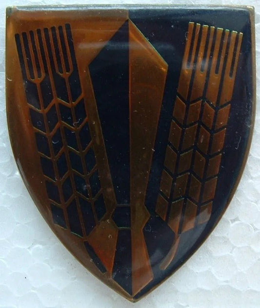 South Africa (SADF) Catering Corps Flash Arm Badge - Bateleur Militaria