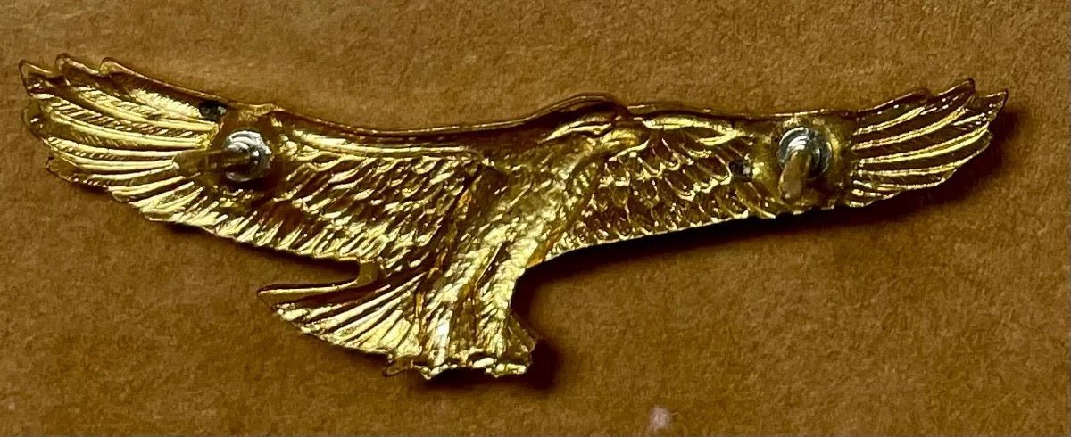 South Africa (SADF) Regiment Orange River Collar Badges Gilt Set Rare - Bateleur Militaria