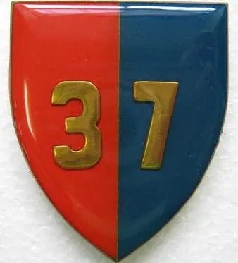 South Africa (SADF) 37 Field Workshop Flash Arm Badge - Bateleur Militaria