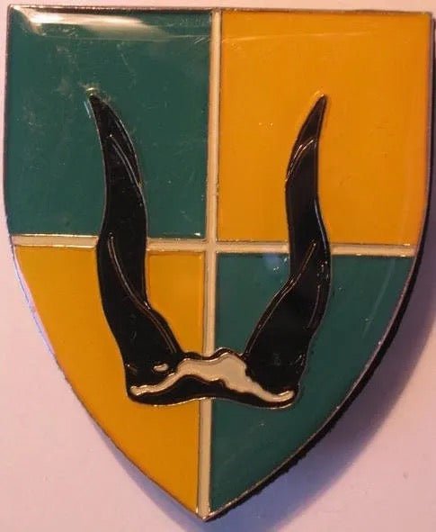 South Africa (SADF) Group 29 HQ 1st Issue (Ellisras) Flash Arm Badge - Bateleur Militaria