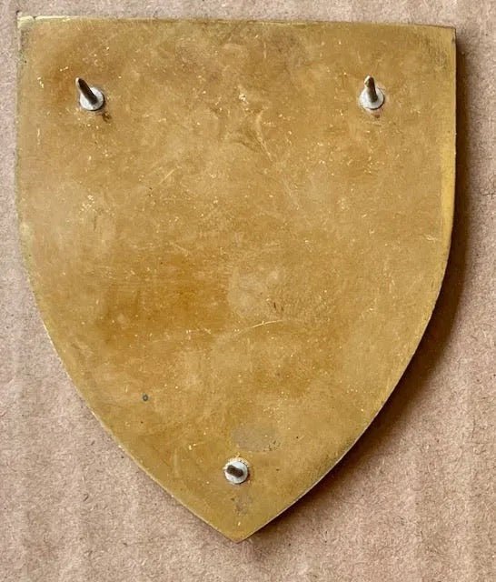 South Africa (SADF) 44 Parachute Brigade 4 Parachute Bn Arm Flash - Bateleur Militaria