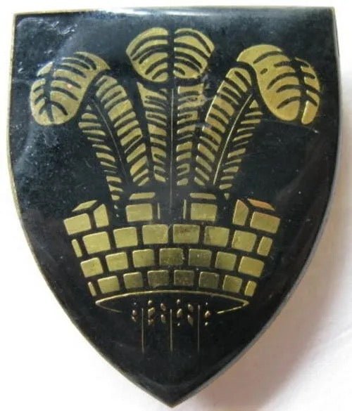 South Africa (SADF) Oudshoorn Commando Flash Arm Badge - Bateleur Militaria