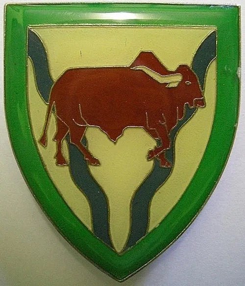 South Africa (SADF) Theunisen Commando Flash Arm Badge - Bateleur Militaria