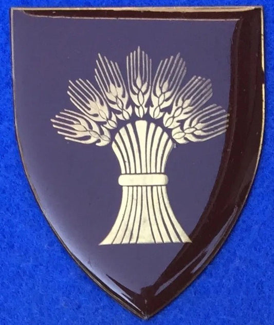 South Africa (SADF) Bethlehem Commando Flash Arm Badge - Bateleur Militaria