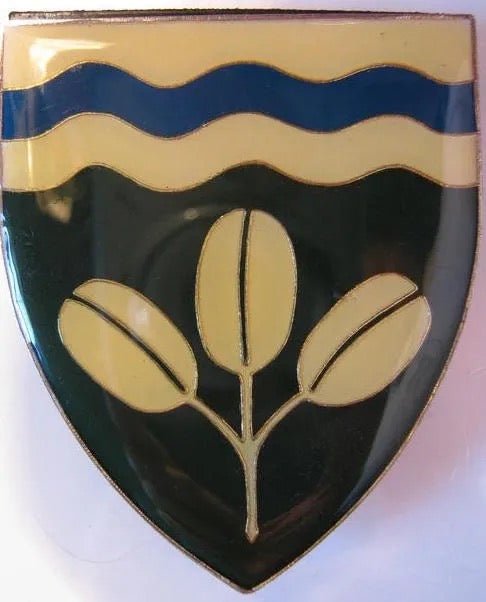 South Africa (SADF) Bronkhorstspruit Commando Flash Arm Badge - Bateleur Militaria