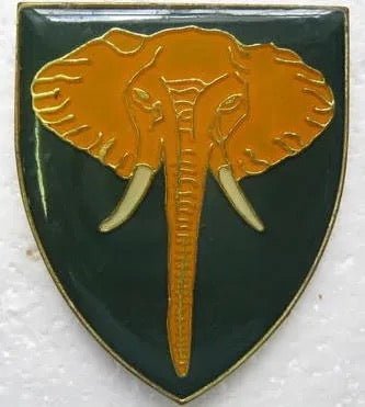 South Africa (SADF) Phalaborwa Commando (2nd Issue) Flash Arm Badge - Bateleur Militaria