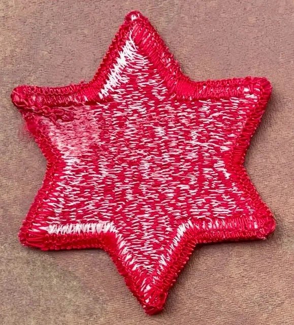 US Army 6th Infantry Division Patch SSI Merrowed Edge