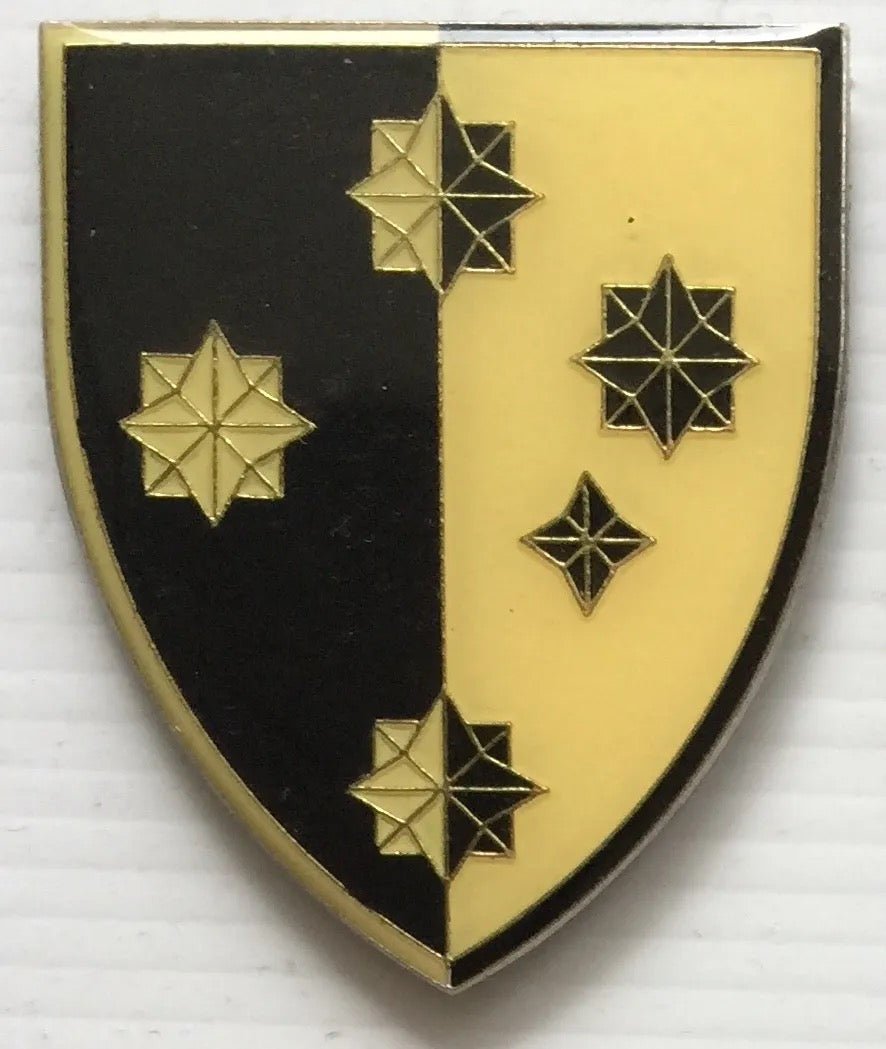 South Africa (SADF) Military Intelligence College Larger Stars Flash Arm Badge (Type 2) - Bateleur Militaria